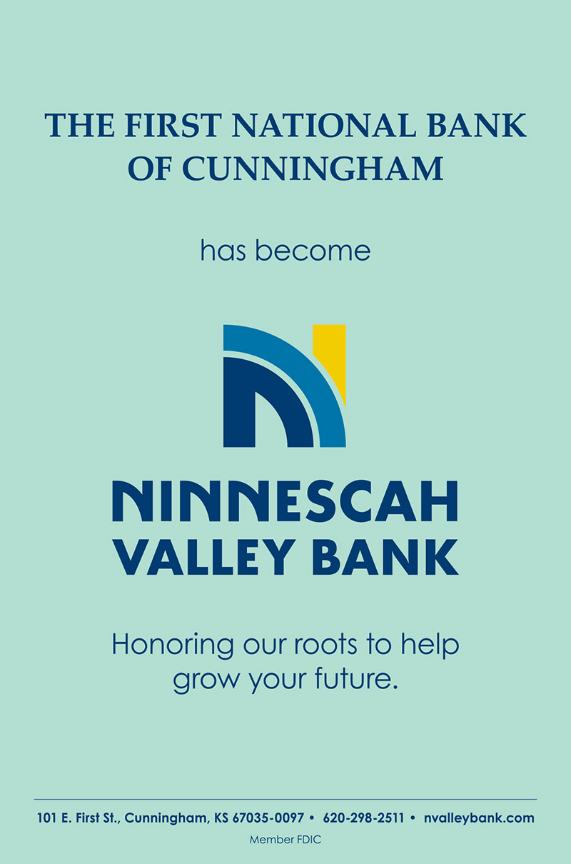 Introducing Ninneschah Valley Bank cover
